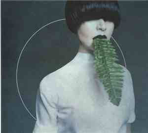 Kangding Ray - Cory Arcane
