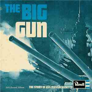 No Artist - The Big Gun