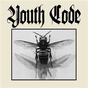 Youth Code - Anagnorisis