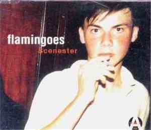 Flamingoes - Scenester