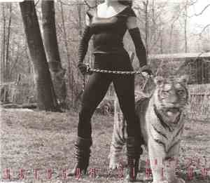 Scissor Sisters - Any Which Way