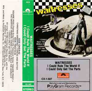 The Waitresses - I Could Rule The World If I Could Only Get The Parts
