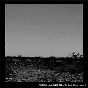 Various - The Small Things Matter I