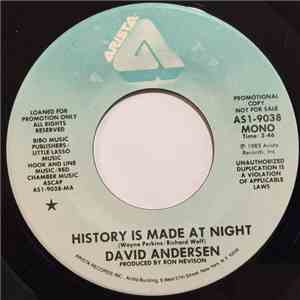 David Andersen - History Is Made At Night