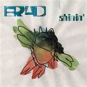 Brad - Shinin'