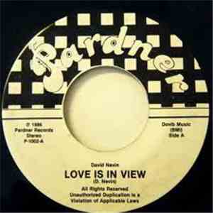 David Nevin - Love Is In View / Shine