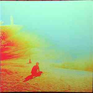 The Flaming Lips - The Terror
