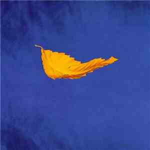 New Order - True Faith