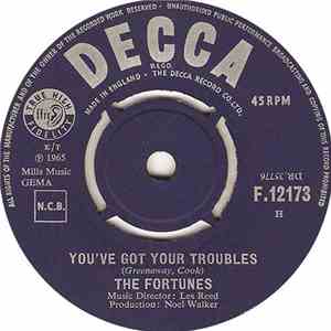 The Fortunes - You've Got Your Troubles