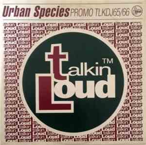 Urban Species - Brother (Sister)