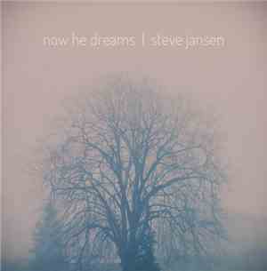 Steve Jansen - Now He Dreams