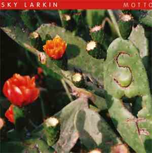 Sky Larkin - Motto
