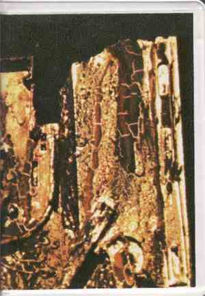 Nocturnal Emissions - Magnetizdat Six: Interesting Times