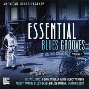 Various - Essential Blues Grooves, Volume 1